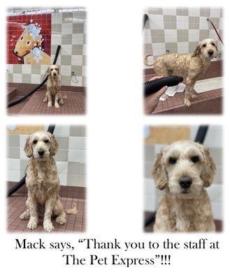 Mack on Monday at our first visit to your self wash station.