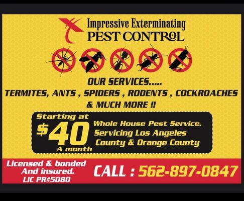 Pest control service in bellflower  Pest control company in Los Angeles  Pest control in Long Beach  Pest control in Orange County