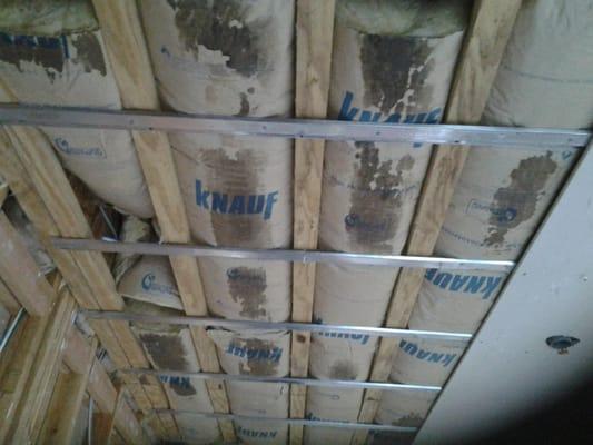 Wet ceilings insulation