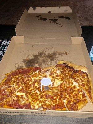 Pizza was delivered like this. Luke warm. Numnum