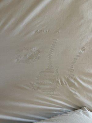 Stains on the sheets!