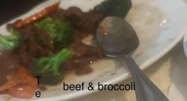 Beef & broccoli