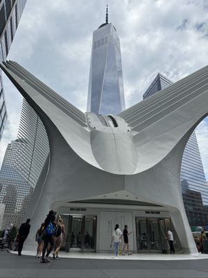 The Oculus at the World Trade Center