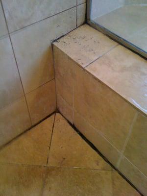 Travertine Shower (Before)