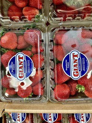 Great looking strawberries, 99¢ today.