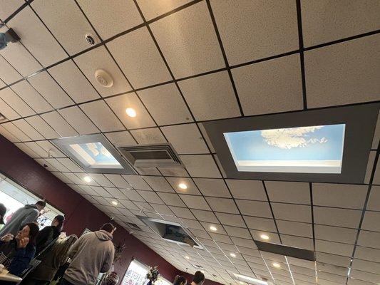 I noticed these ceiling windows, cute