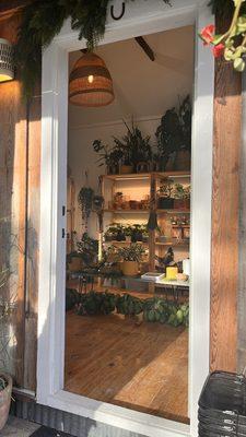 The most beautiful plant shop