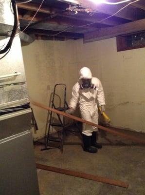 Mold remediation services available