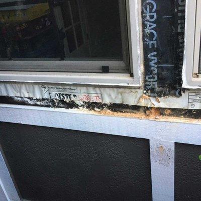 Dry Rot Damage Around Windows