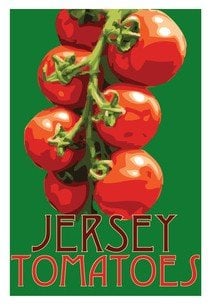 Jersey Tomatoes Erin Fitzsimmons copyright 2009