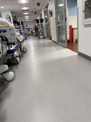 The emergency room hallway they had my mother in for hours, even rooms open up. She's in her 90's of age