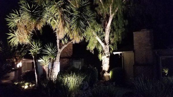 Landscape Uplighting