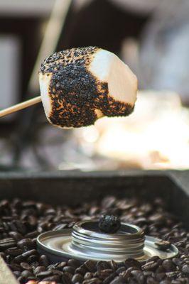 Toasting Marshmallows for the S'mores