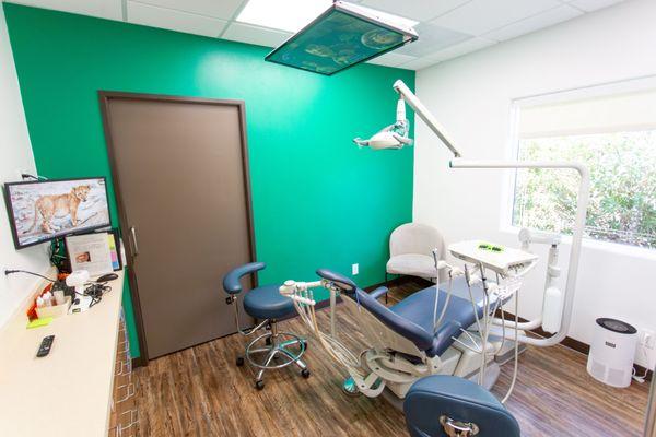 Each treatment room will make your child feel comfortable and safe.