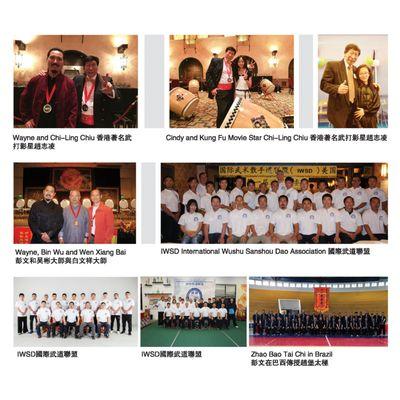 Zhao Bao Tai Chi and the TCCA community