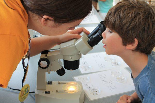 Future Science Leaders conduct citizen science