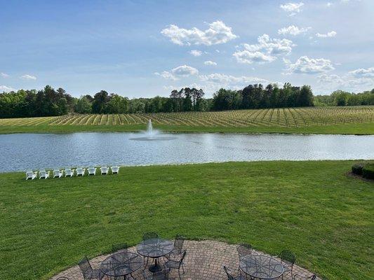 Nice view from the patio.