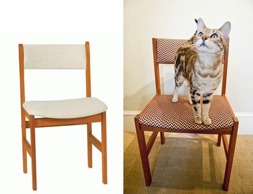 my cat, Odin approves of the newly reupholstered dining chairs.