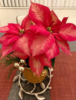 I purchased this lovely poinsettia and gold container!