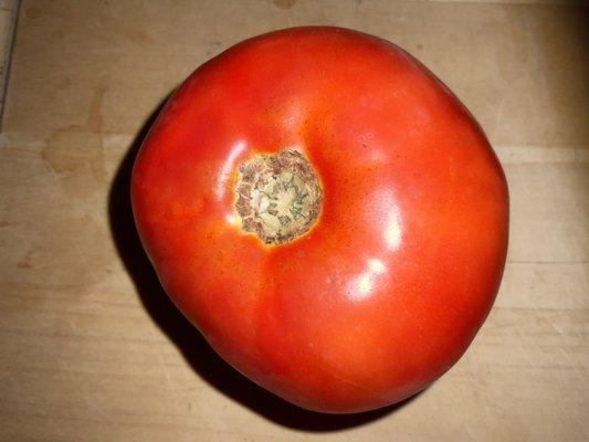 Tomato