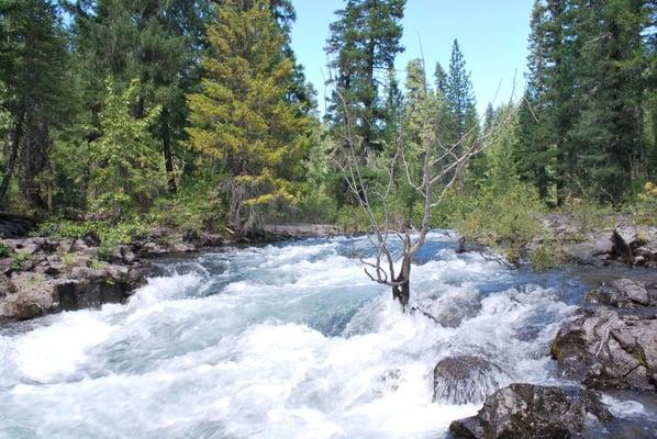 Rogue River Oregon Properties