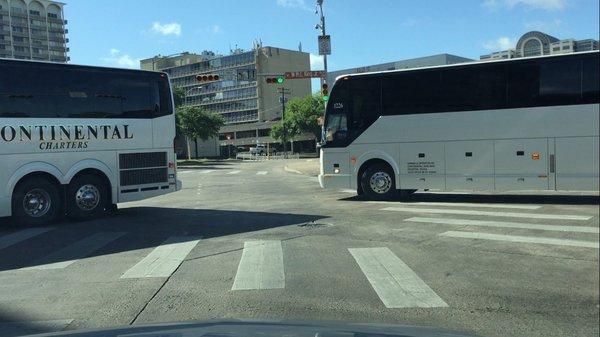 two buses running the same red light in Austin, TX, 4/18/2019.