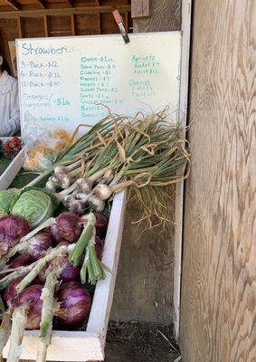 Robledo's Farm Fresh Produce