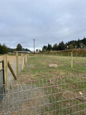 Fenced in area for small dogs