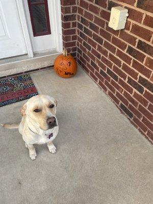 This is our sweet angel Nala. She's a lab mix and we just adore her. She's a true gift that Almost Home Foundation blessed us with.