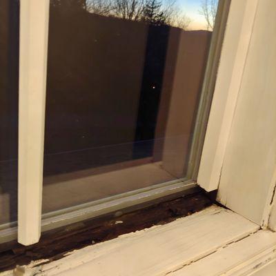 Pella windows rot can't get pella too help me get this possible resolved