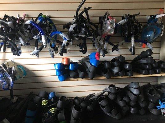 Some snorkels on display. Dry snorkel: $5 a day and $15 a week FULL face snorkel mask: $7 a day and $20 Comes with fins!