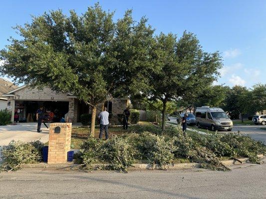 The amount of debris they took down.