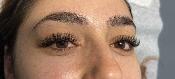 Classic Lashes