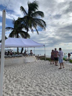 Beach House buffet wedding right on the beach.