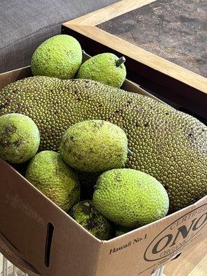 Some of our Jackfruit we use for a taco