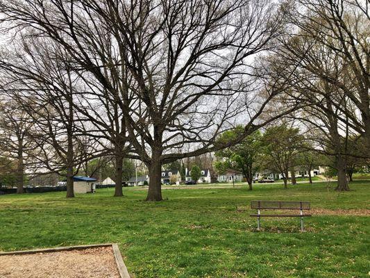 Lots of mature trees