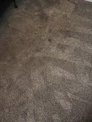 The photos includes carpet stains and floors that was NOT CLEANED AT ALL.