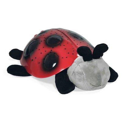 Twilight Lady Bug