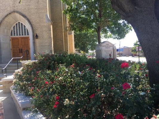 Side rose garden next to the church.