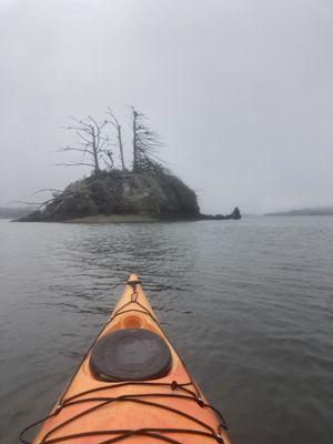 Hog Island