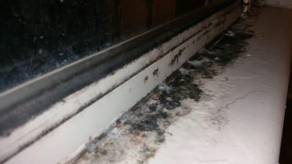 This is black mold growing on all the window sills inside the house. I have complained multiple times and this was never fixed!