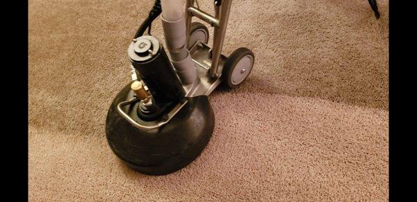 A Choice Carpet & Upholstery Cleaning