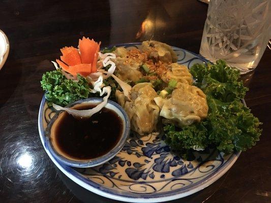 The dumpling appetizer had wonderful flavor.