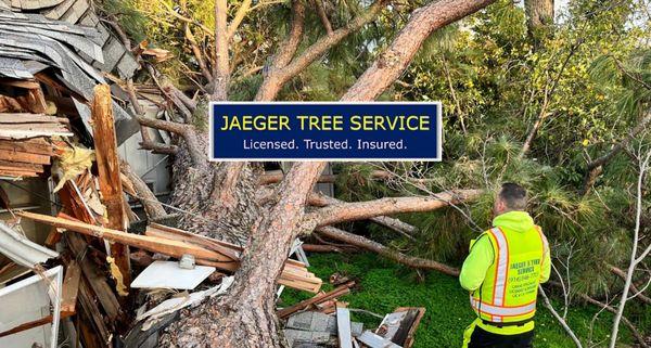 Jaeger's Tree Service