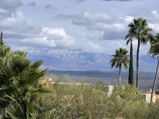 Desert Canyon Golf Club