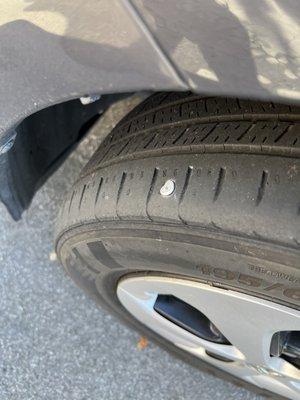 The nail in my tire.