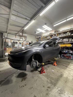 XPEL STEALTH ON THIS TESLA MODEL Y