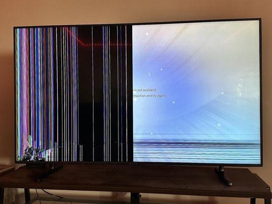 Broken 65" TV