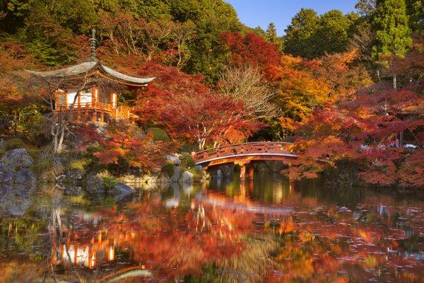 Curated Authentic & Cultural Luxury Travel to Japan