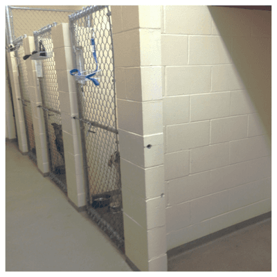 Thone Animal Clinic Kennels